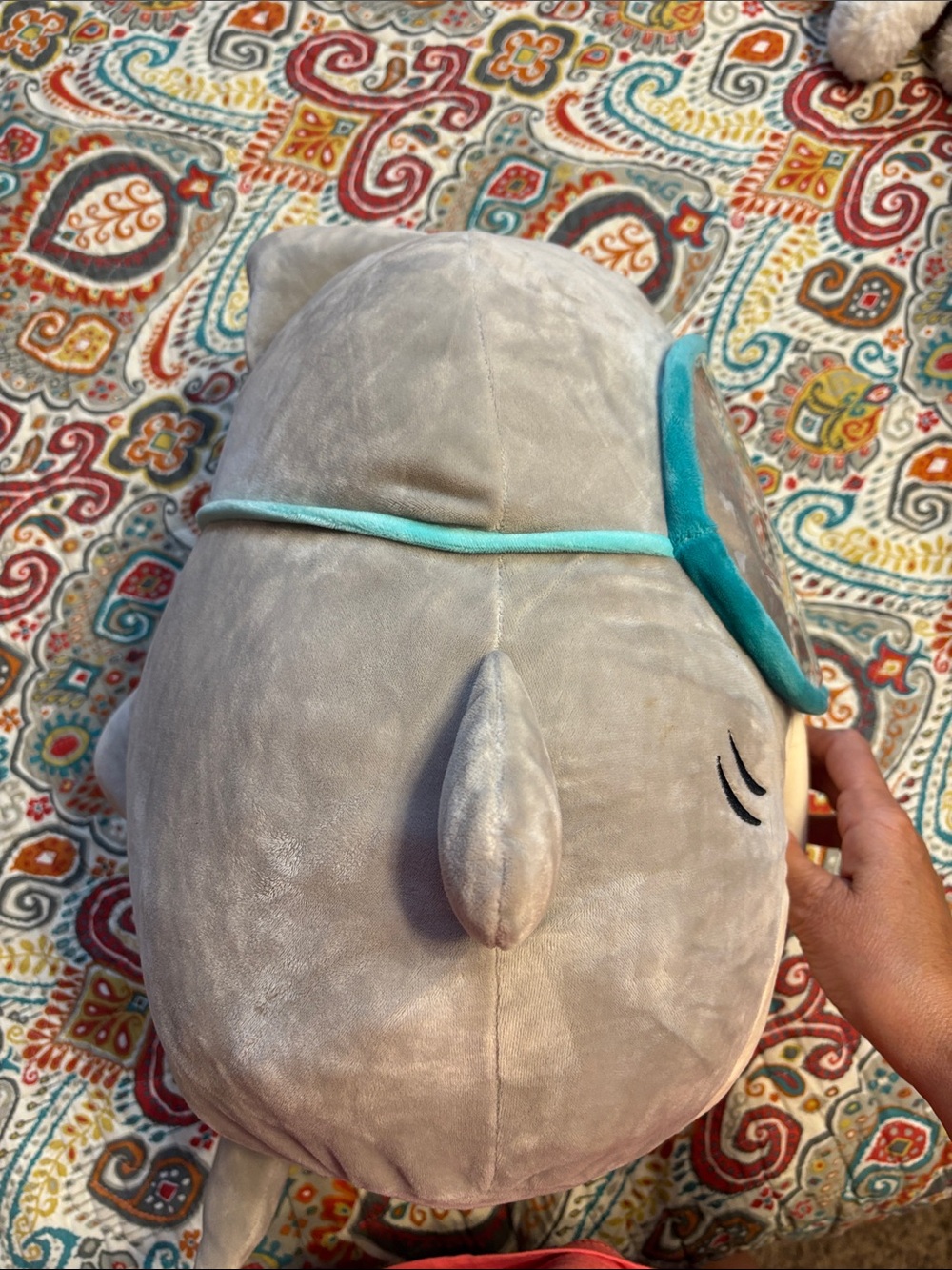 Squishmallow large Gray and Cream Plush Shark Pillow with Teal Trim around mask - Picture 8 of 11
